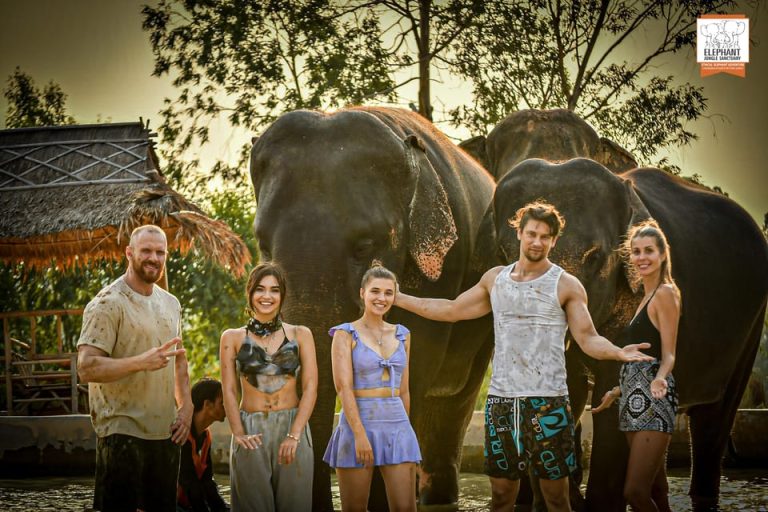 Group of people with elephants at the Elephant Jungle Sanctuary. Gay travel advice for ethical animal tourism. Thailand adventure.