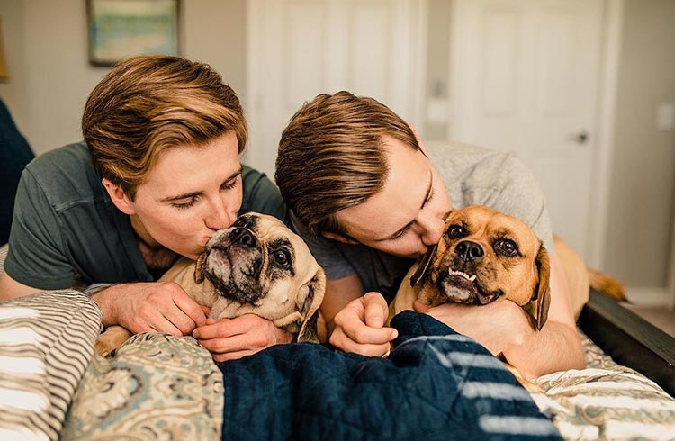 Gay couple's honeymoon inspiration: Two men kissing their dogs on a bed. Valentine's Day travel with pets, same-sex marriage bliss.