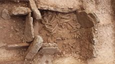 A bird's eye view of a burial site with many human bones scattered inside