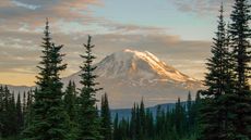 view of mount adams with trees framing the ice covered volcano