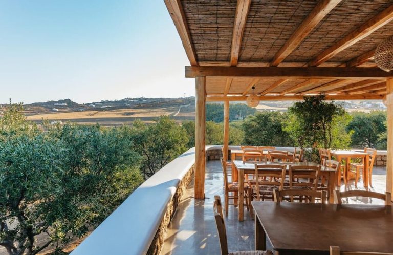 Mykonos winery experience. Outdoor seating area with wooden tables/chairs under a thatched roof. Scenic view of the Greek countryside. Local food & wine.