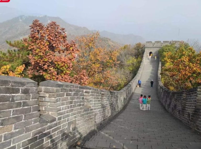 Gay-Friendly Great Wall tour: Mutianyu section, Beijing adventure. Tourists walk along the ancient wall amidst autumn foliage.