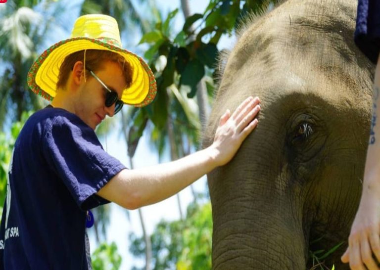 Gay traveler pets elephant at ethical sanctuary. Half-day mud spa experience. Gay-friendly travel advice for Hanoi and Vietnam.