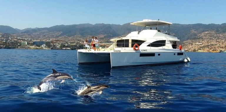 Gay-friendly luxe catamaran cruise in Funchal, Madeira. Dolphins jumping near the boat. Sip, sail, and spot dolphins on this gay cruise.