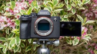 Sony A7 IV on a tripod against a hedge