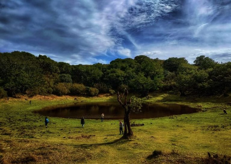 Mystic forest in Madeira, a gay travel destination. Volcanic pool reflects sky. Coastal thrills await in this adventure spot.