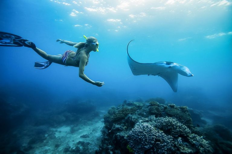 Snorkeler swimming with a manta ray in Bali. Waterbom Bali instant entry ticket adventure. Gay travel to Mantarays Tour, Bali.