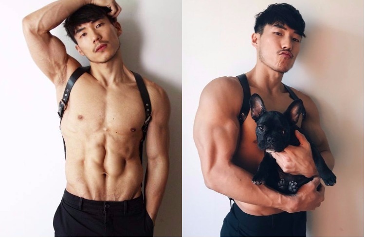 Gay Seoul's Minky Lee, Bachelor of the Week, poses shirtless in a harness, flexing abs and biceps. He holds a black French Bulldog.
