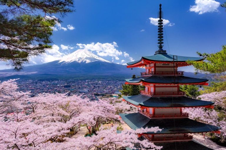 Mt. Fuji view with pagoda and cherry blossoms. Japan travel for gay men. Ramen tasting tour destination. Mt-Fuji.jpg