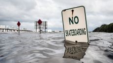 Floodwater comes up to the bottom of a "no skateboarding" street sign