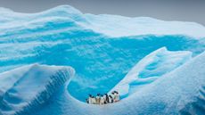 A group of penguins huddles in an icy landscape