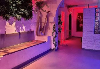 Interior of a gay sauna in Sitges. Lounge area with bench, wall art, and plants under neon lighting. Gay travel advice.