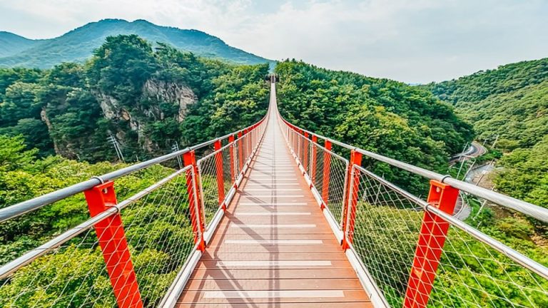 DMZ, Seoul: Scenic suspension bridge view during a morning E-bike tour. Lush greenery surrounds the bridge, a popular attraction for gay travelers.