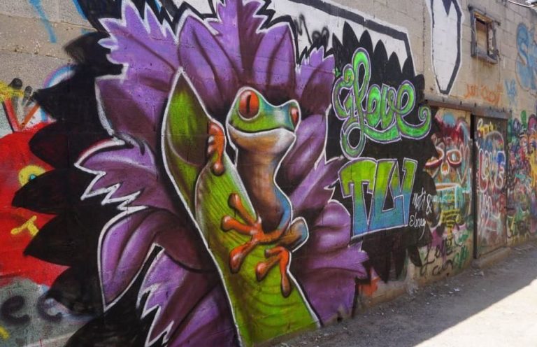 Tel Aviv's graffiti tour: Street art featuring a frog on a flower, part of the city's vibrant and colorful urban art scene.