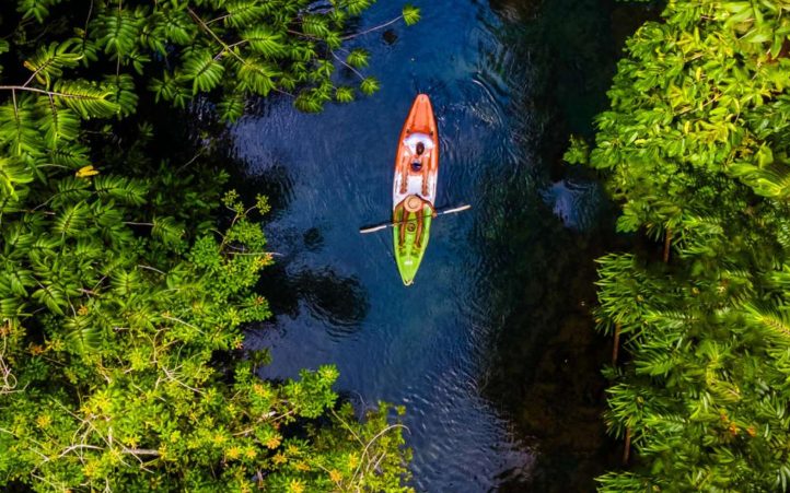 Gay couple's wild kayak escape through Krabi's Ao Thalane mangrove wonderland. Top-down view of a colorful kayak on a lush river.