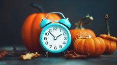 A teal alarm clock sits in front of decorative orange pumpkins