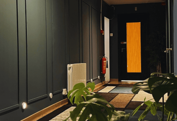 Dublin spa interior. Gay massage travel advice. Dark paneled wall, radiator, fire extinguisher, patterned rug, and plants.